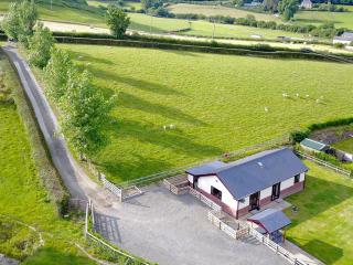 River Cottage - Llangunllo - 9