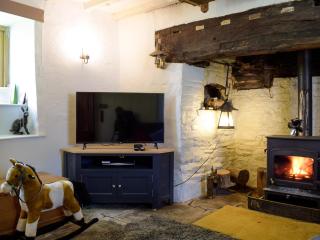 Lower Goytre Farmhouse - Llanvair Waterdine - 2