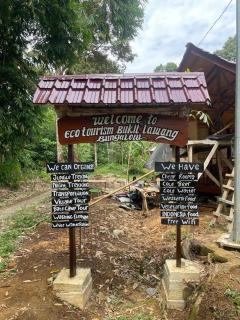 Ecotourism Bukit Lawang Bungalow - Bukit Lawang - 7