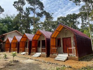 Ecotourism Bukit Lawang Bungalow - Bukit Lawang - 0