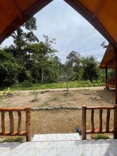 Ecotourism Bukit Lawang Bungalow - Bukit Lawang - 6