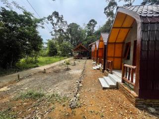 Ecotourism Bukit Lawang Bungalow - 4