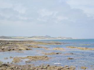 Tranquility - Seahouses - 1