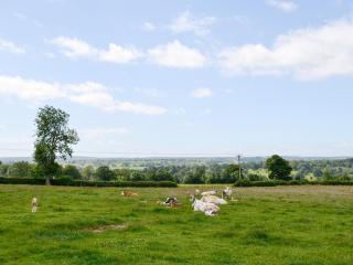 Buttercup Cottage - Ripley - 1