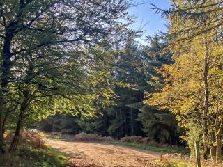 Bank Top Cottage - 1