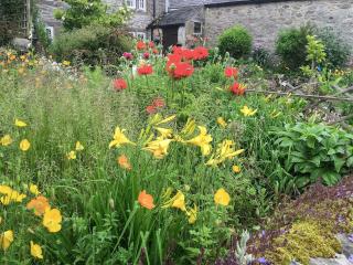 Wild Flower Cottage - Youlgreave - 1
