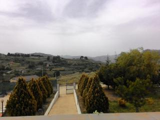 Il Noce Antico - 2