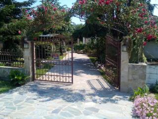 Archontis Dream Villa - Zilotí - 5
