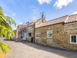 Rigg Farm Cottage - Stainsacre - 0