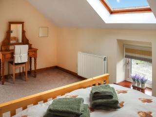 Teifi Cottage - Uk49590 - Llansawel - 2