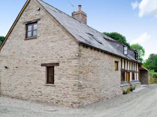 Mill Cottage - Peterchurch - 3