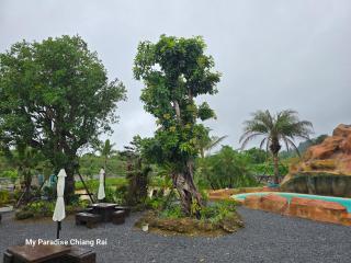 My Paradise Chiang Rai - Ban Doi Hang - 1