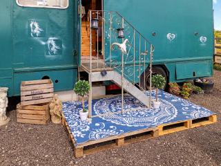 The Box - Oasis Farm - Fareham - 1