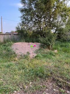 Гостевой дом Altyn Dan - - 8