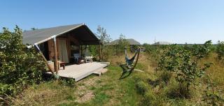 Glamping Verbaarum - Bedum - 1