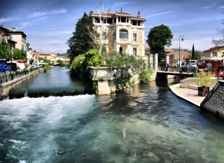 Le Saule - LʼIsle-sur-la-Sorgue - 7
