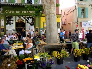 Le Saule - LʼIsle-sur-la-Sorgue - 3