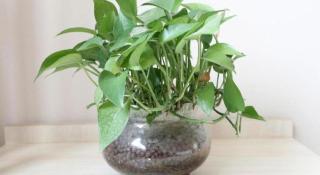 Jinjiang Inn Tianjin Changjiang Avenue - 2