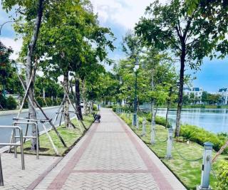 Lakeview City & The Global City Homestay - 1