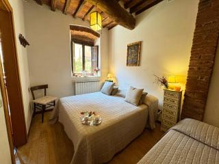 Casina Bella Di Lucca - Lucca - 5