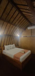 Coral Voice 1 Homestay & Lumbung - Gili Trawangan - 7