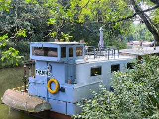 Insolite Péniche Amazonie canal du midi - Gardouch - 6