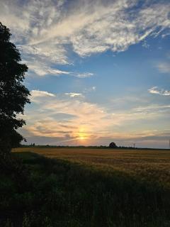 Bauernhof - Leben in der Natur - Papenhagen - 1