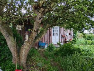 Peaceful Cottage With View Near Fjord Trails - Kirke-Hyllinge - 6