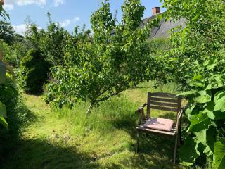 Charming Family Home Close To Beach And Forest - Roskilde - 4