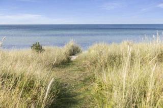 Simple Summer Living In Magical Setting - Nykøbing Sjælland - 5