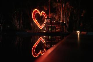 Greenwoods Resort, Thekkady - 2