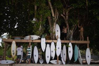 Hollow Tree's Resort - Katiet - 8