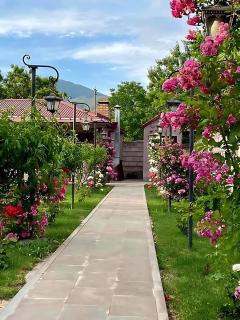 Dream house - Yeghegnadzor - 0