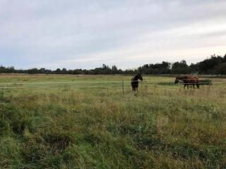Holiday On Magical Nature Plot For Families - Hadsund - 8