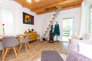 Hilltop Wellness Haven W AC & Jacuzzi by NW - Recsk - 8