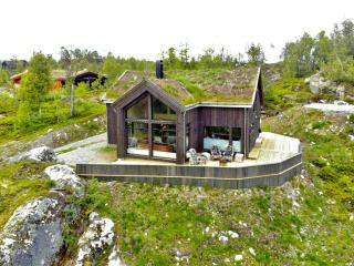 Modern Family Cabin Near Ski Trails In Vågslid - Botn - 0