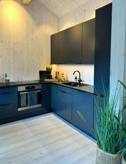 Modern Cabin With Midnight Sun In Skjomen - 6