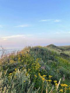 House On Natural Plot Overlooking The Dune - 3