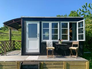 Wagon With View Over Lake Ollerup - 9