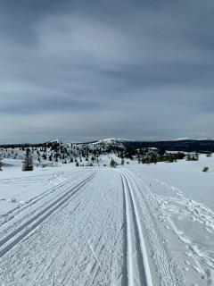 Family Home, Ski-In-Ski-Out By Kvitfjell - Favang - 9