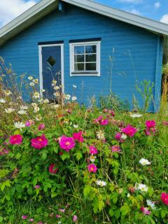 Blue Cottage On Idyllic Askø - Maribo - 5