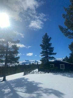 Log Cabin With Views Of Rondane Mountains - Folldal - 7