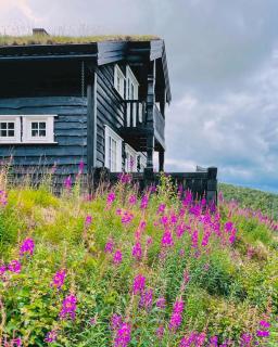 Mountain Cabin With Views Over Hovden - Hovden - 0