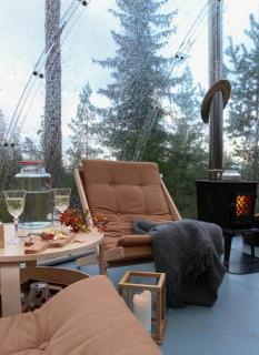 Glass Igloo With Nordic Design In Nature - 6