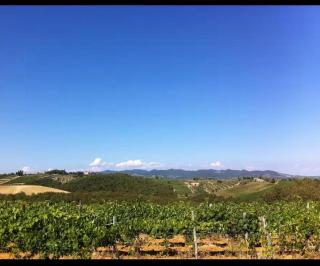 Panoramic Guesthouse In The Siena Hills - Castelnuovo Berardenga - 8