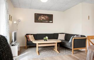 Nice Home In Skjern With Wifi - Skjern - 8