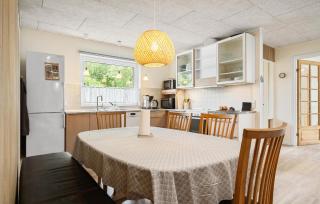 Nice Home In Skjern With Wifi - Skjern - 4