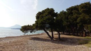 Apartments Katarina - 2