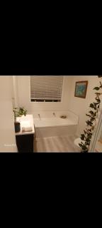 Omokoroa Accommodation TNLU - Omokoroa - 4