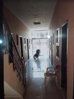 Harjas homestay - Kharar - 2